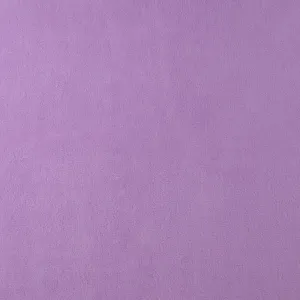 Anti-pill Fleece Solid - ICY - Bellflower