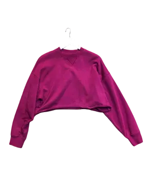 Size XS | Alpha60 Cropped Sweatshirt